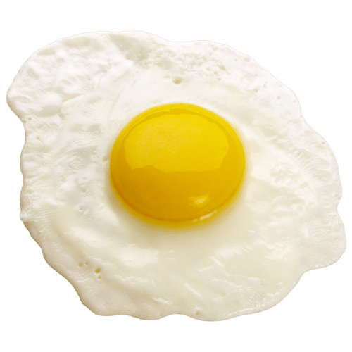 Fried Egg