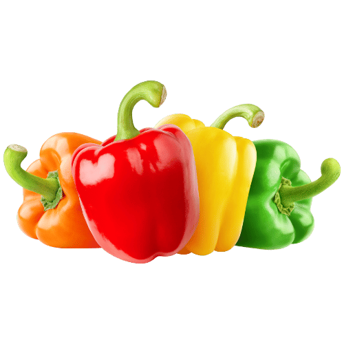 Bell Pepper