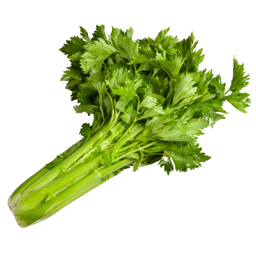 Celery