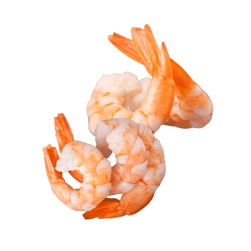 Shrimp